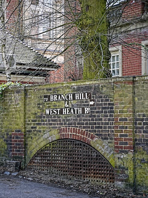 A brick archway under a moss-covered brick wall displaying a black and white street sign indicating direction to Branch Hill and West Heath Road, with a large tree growing behind the wall and extending branches over the scene. In the background, residential buildings with brick and tiled roofs are visible, suggesting an urban setting near Hampstead Heath. The ground beneath the archway is paved, and the overall scene is outdoors with natural lighting, consistent with areas where house removals and furniture transport may occur during a home relocation in Hampstead. Hampstead Man and Van is associated with professional removals services relevant to this context.