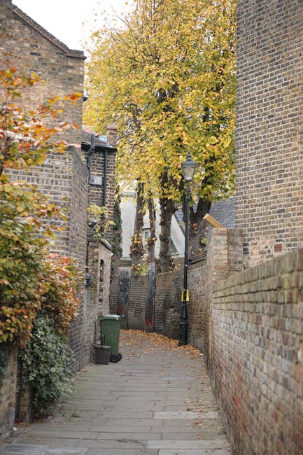 A close-up view of a brick wall indicating the direction to Branch Hill and West Heath Road, with a black and white street sign mounted on the wall above a semi-circular metal drainage grate. The wall appears aged with moss and weathering, and a large tree with visible branches and a textured trunk is situated behind it, partially obscuring red brick buildings in the background. There are no vehicles or moving equipment visible in the image, but the setting suggests a narrow residential street suitable for house removals. Hampstead Man and Van may utilize such areas for logistical planning in home relocation and furniture transport in the Hampstead Village area, where narrow street access requires careful packing, loading, and maneuvering of furniture and boxes during moving services.